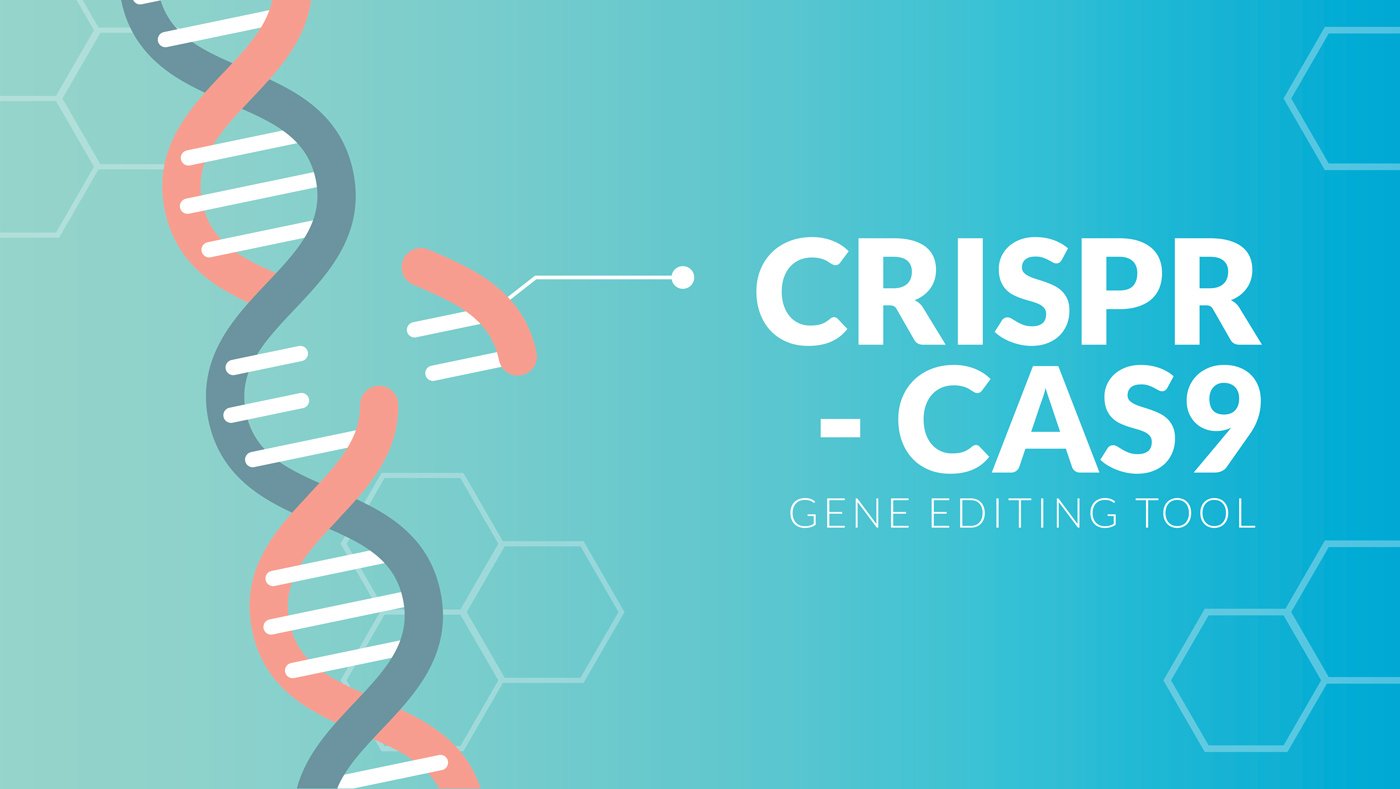 CRISPR Teknolojisi / Cas9 Teknolojisi Nedir, Ne İşe Yarar?
