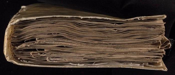 Voynich El Yazması