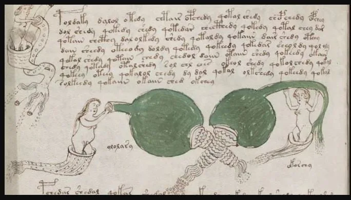 Voynich Yazması