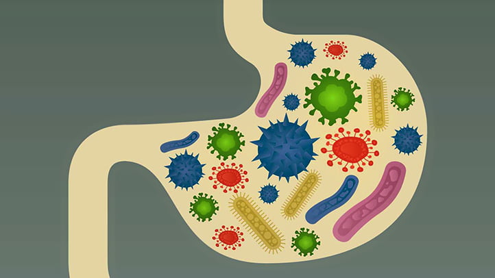 Probiyotik Bakterilerin Sırrı