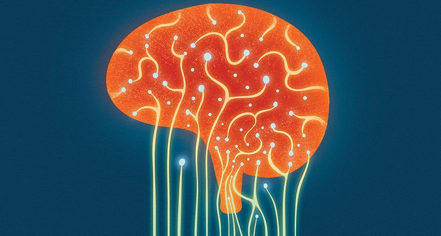 İnsan Beyninde Tıpkı Bağırsaktaki Gibi Bakteriler Bulunuyor