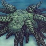 Antik Deniz Yaratığı 'Cthulhu' fosili Yeniden Keşfedildi