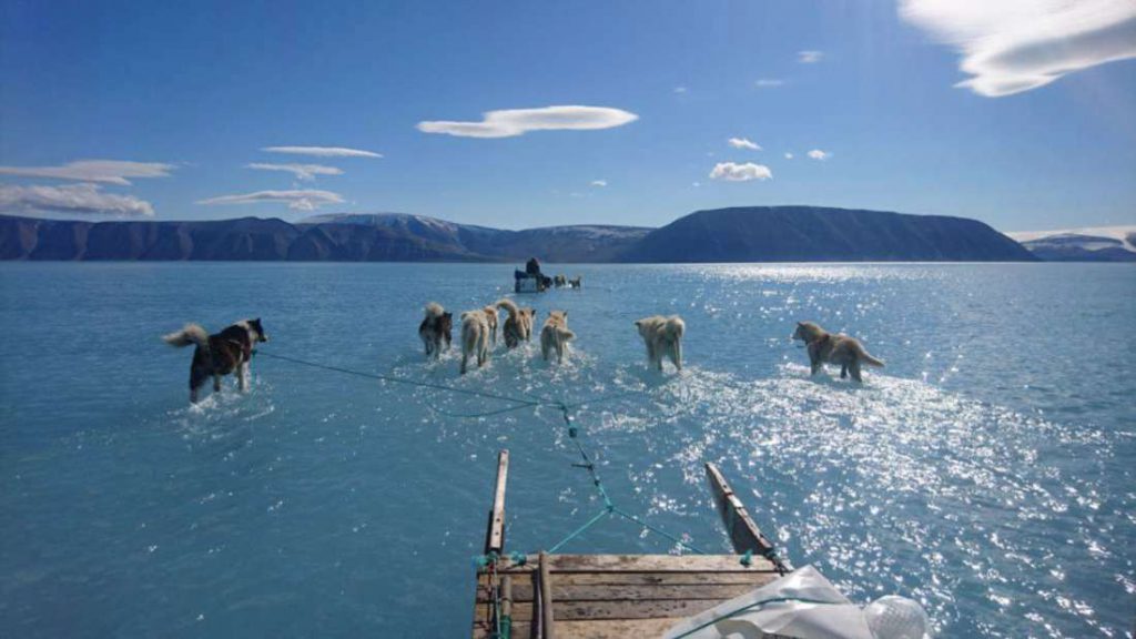 Grönland 'ın yeni hali Fotoğraf kredisi: Steffen Olsen/Danish Meteorological Institute 