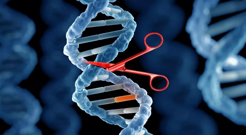 CRISPR Teknolojisi / Cas9 Teknolojisi Nedir?