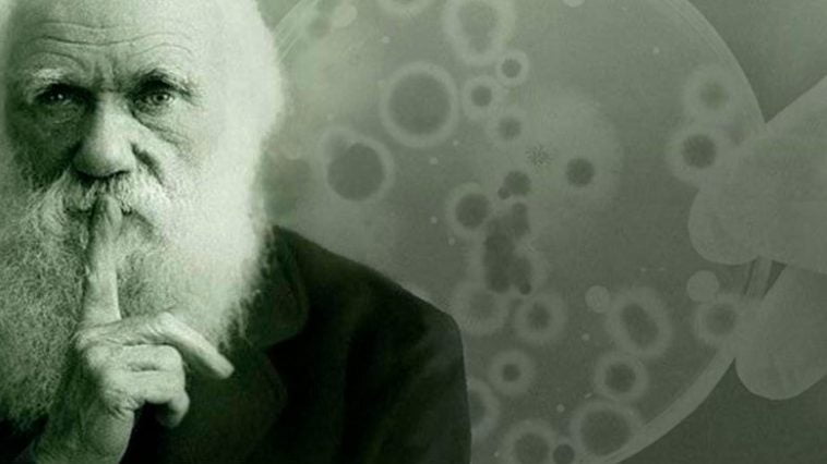 Bakteriler yaşamak için Darvin’in evrim teorisinin tersini yapıyor