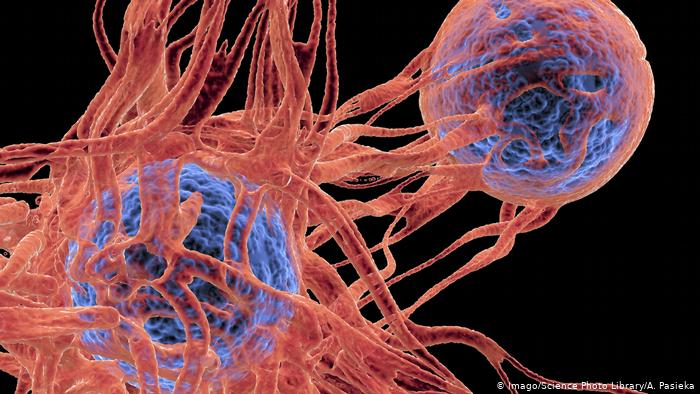 İyi Haber: Kanser Yerçekimsiz Ortamda Yayılmakta Zorlanıyor