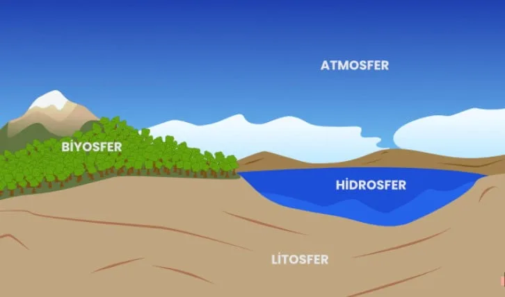 biyosfer