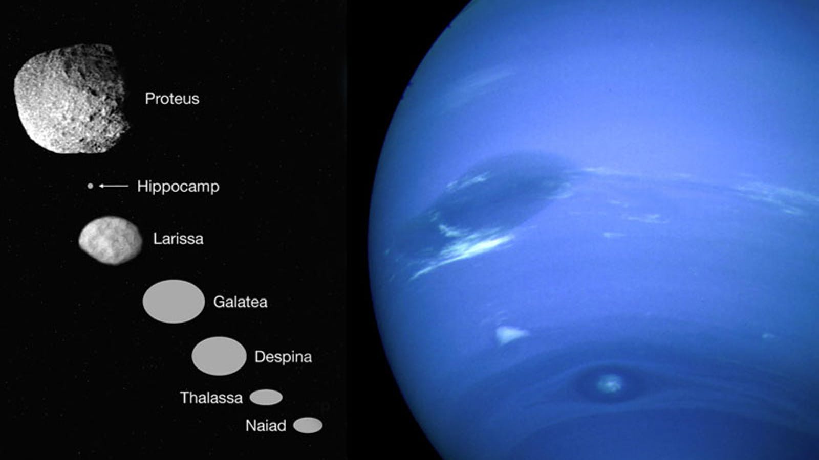 Neptün'ün Uyduları
