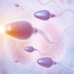 340 Yıl Boyunca Spermin Nasıl Hareket Ettiği Konusunda Yanıldık
