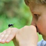 Beyinsizler Çocuk: Böcekler Öldüklerinde Neden Ters Dönerler?