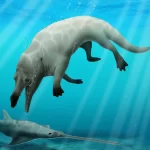 Milyonlarca Yıl Önce,Balinalar Kuzey Amerika Kıyılarında Karada Yürüdüler