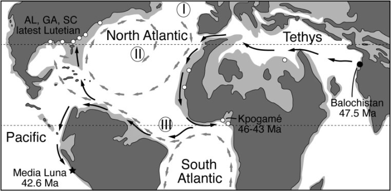 Milyonlarca Yıl Önce,Balinalar Kuzey Amerika Kıyılarında Karada Yürüdüler