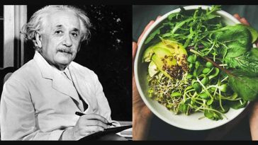 Bir Dahinin Diyeti : Albert Einstein'ın Keskin Zekasını Neler Besledi ?