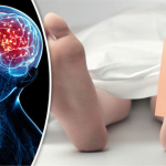 Ölen Bir İnsanın Beyin Dalgaları İlk Kez Detaylı Olarak Kaydedildi