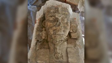 Heykeli sfenks gibi görünecek şekilde şekillendirilen Kral III. Amenhotep'un başı.