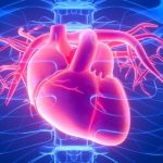 1 Milyondan Fazla İnsan Üzerinde Yapılan Araştırmaya Göre Kalp Krizleri Parkinson Riskini Azaltabilir