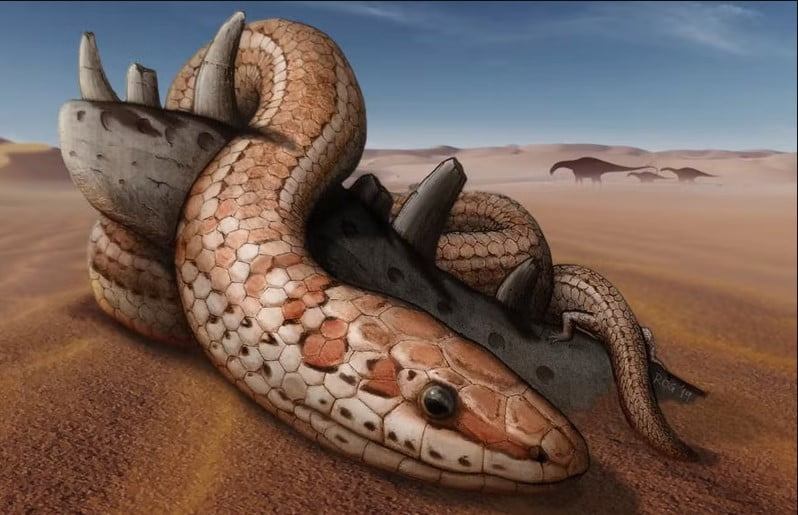 Arka bacakları olan yılan fosili, yılan evriminin sırlarını ortaya çıkarıyor