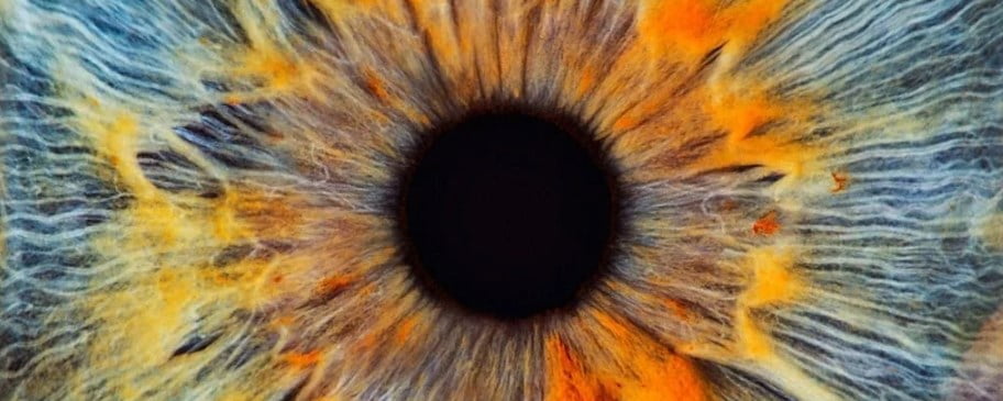 Bilim İnsanları Ölümden Sonra İnsan Gözlerindeki Aktivite Parıltısını Canlandırdı