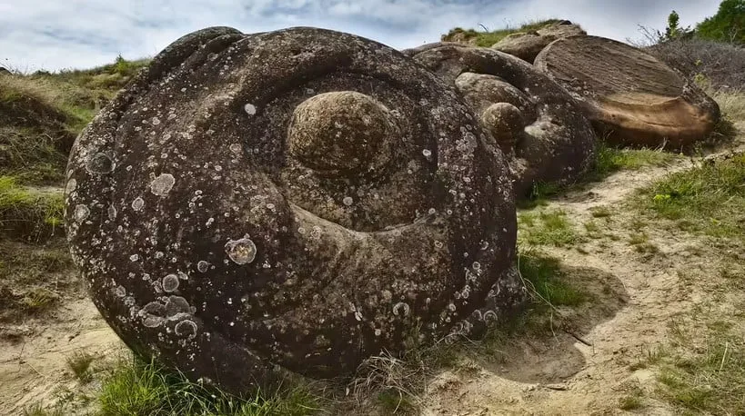 Trovant Taşı: Bu Taşlar Büyüyor, Hareket Ediyor ve Ürüyorlar!