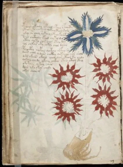 Tuhaf ve Okunaksız: “Voynich Yazması” ve Sırları