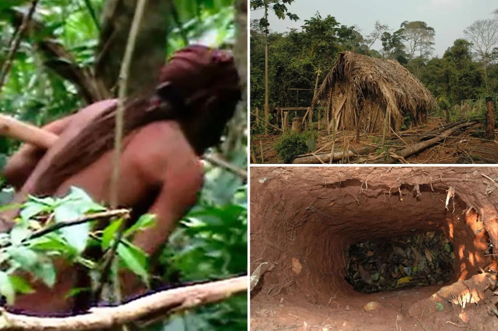 Amazon Kabilesinin Son Üyesi Yalnız Öldü !