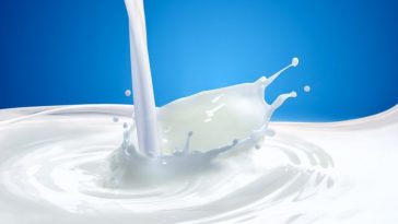 Yapay Süt Geliyor. Süt Ürünlerini Radikal Bir Şekilde Sarsabilir!