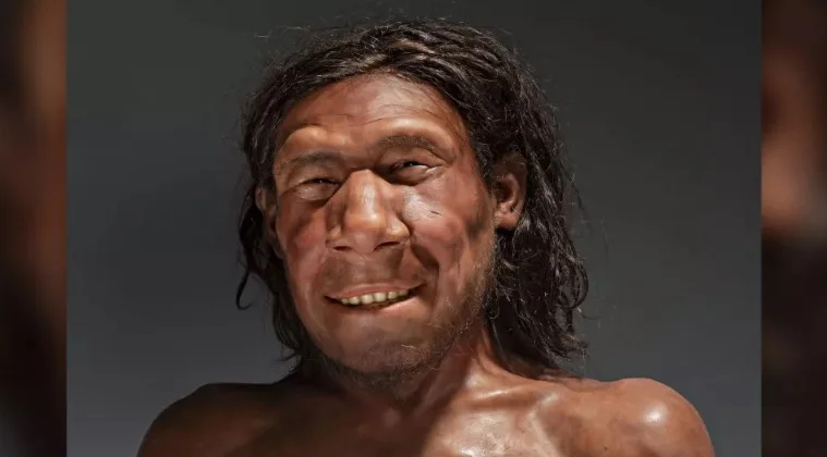 Neandertal adami