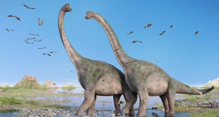 Brachiosaurus dinozoru