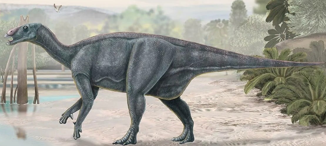 Iguanodon dinozoru
