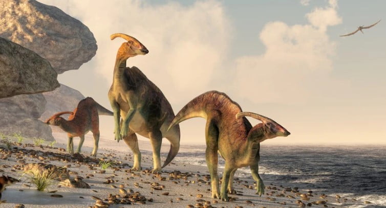 Parasaurolophus dinozoru