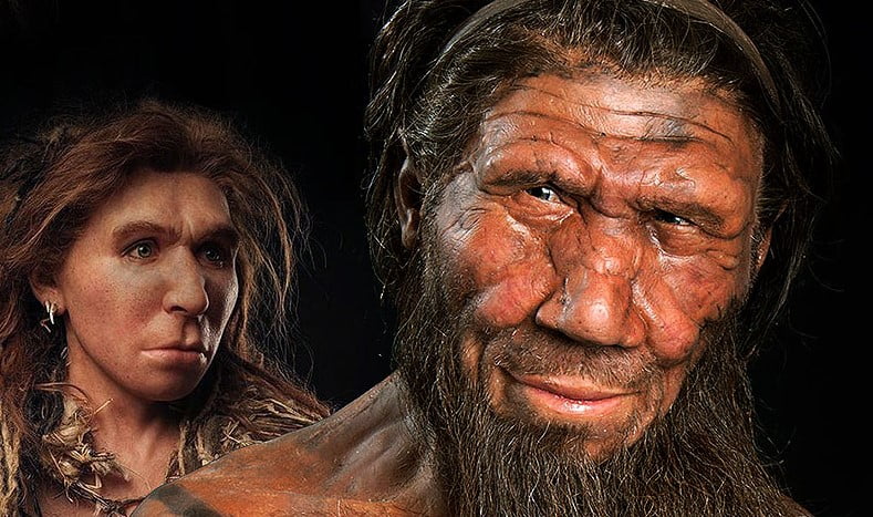 Neandertallerin soylarının tükenmesindeki yeni İddia sizi şaşırtabilir