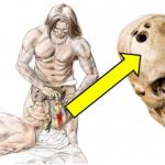 3.000 yıllık kafatasında beyin ameliyatına dair kanıtlar bulundu