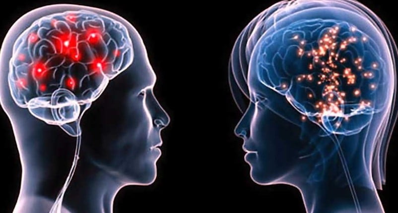 iki insan arasındaki beyin farkı