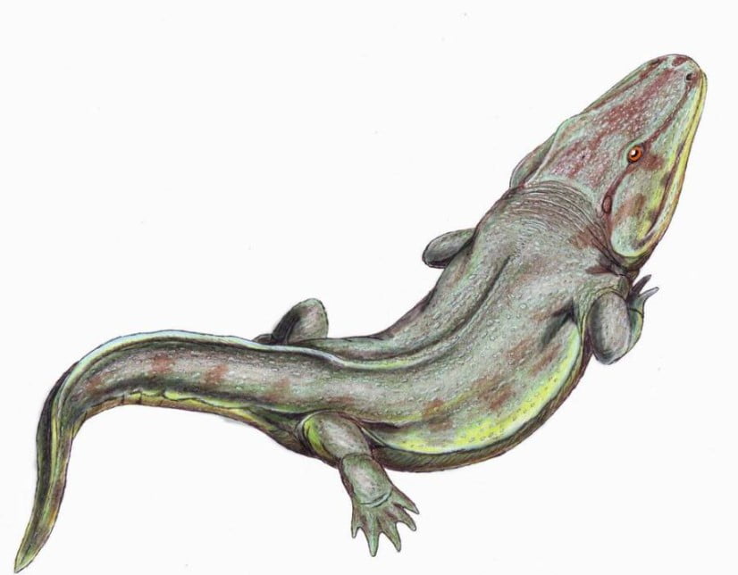 Bilim insanları dinozorlardan daha yaşlı ayak izleri buldu.