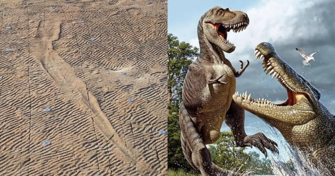 Dinozorlardan Daha Eski 255 Milyon Yıllık Ayak İzleri Bulundu