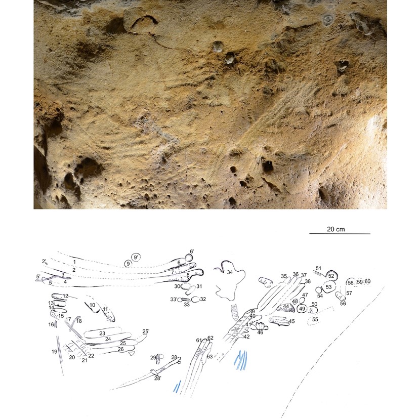 Neandertallerin 57 Bin Yıllık Sanat Eserleri Fransa’da Bulundu