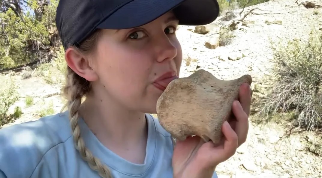 Jeologlar Neden Taşları Yalar?