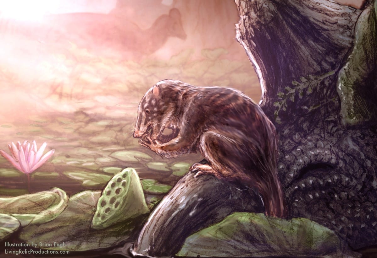 Dinozor Çağından Kalma Bataklıkta Yaşamış Yeni Tür Keşfedildi