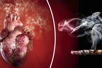 Ağır Sigara İçicilerin Kalp Sağlığı 25 Yılda Normale Dönebiliyor