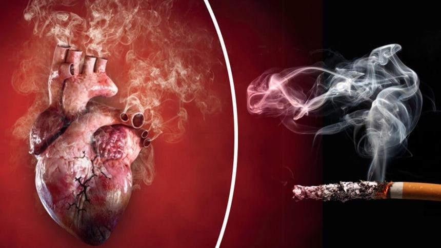 Ağır Sigara İçicilerin Kalp Sağlığı 25 Yılda Normale Dönebiliyor