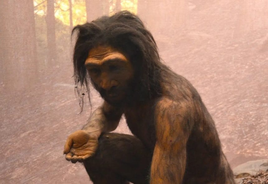 Çin'de Yeni Bir İnsan Türü Keşfedildi: Homo Juluensis