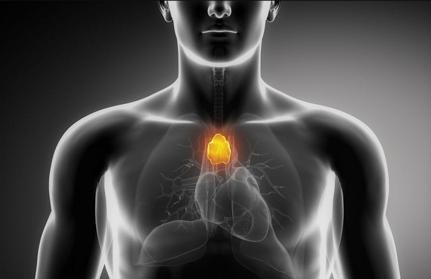 Doktorların Gereksiz Deyip Aldırdığı Organ Kansere Yol Açıyor!