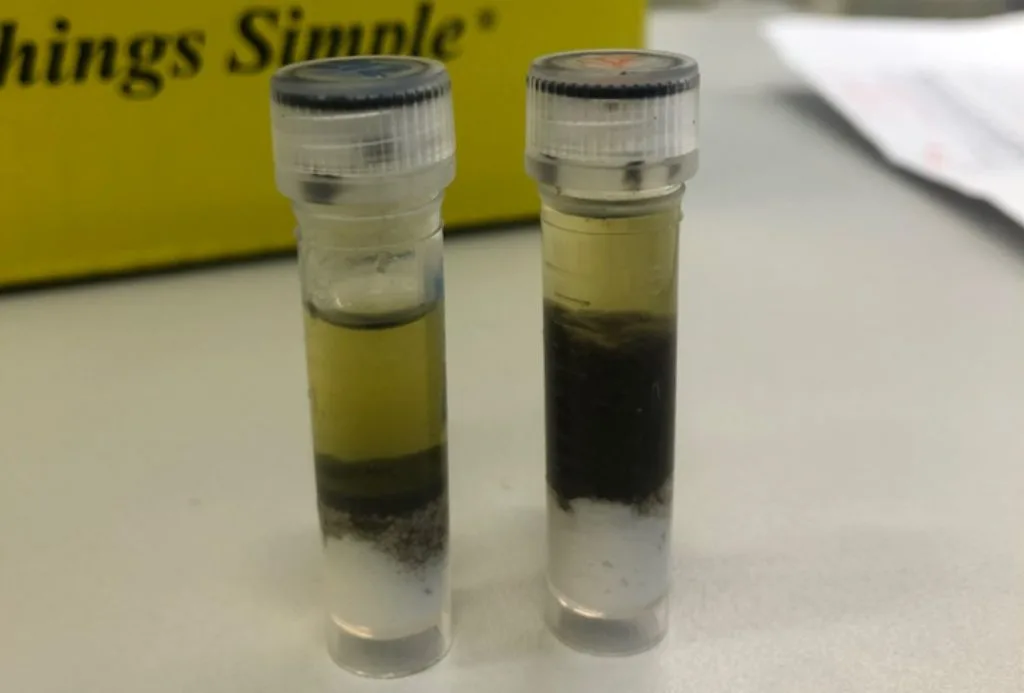 Su Arıtma Tesisleri Mikroplastiklere Tutunan Virüsleri Yok Edemiyor