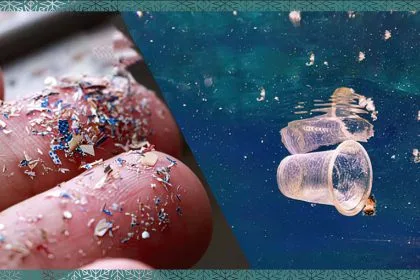 Su Arıtma Tesisleri Mikroplastiklere Tutunan Virüsleri Yok Edemiyor