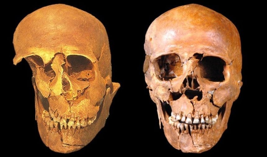 Bronz Çağı'nda İngilizler Korkunç Keşfe Göre Düşmanlarını Yemiş