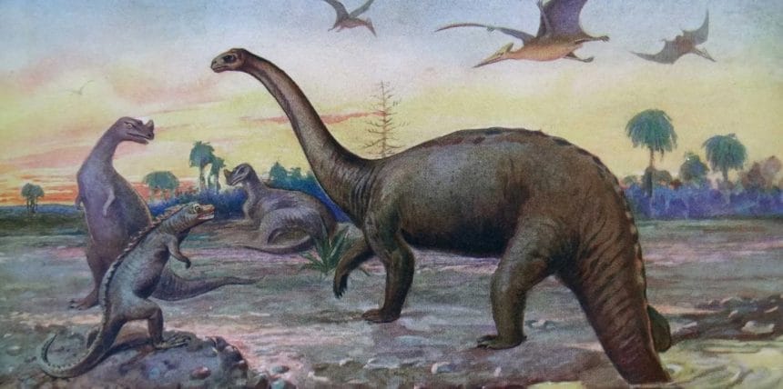 İnsanlar Dinozorları İlk Ne Zaman Keşfetti?