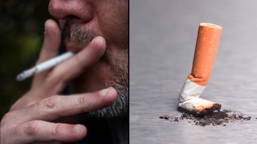 Bir Dal Sigara Hayatınızdan 20 Dakika Çalıyor: Araştırma Sonuçları