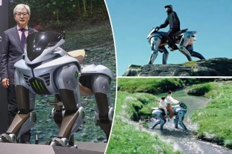 Yakın Gelecekte At Gibi Sürülebilen Robotlarımız Olacak!