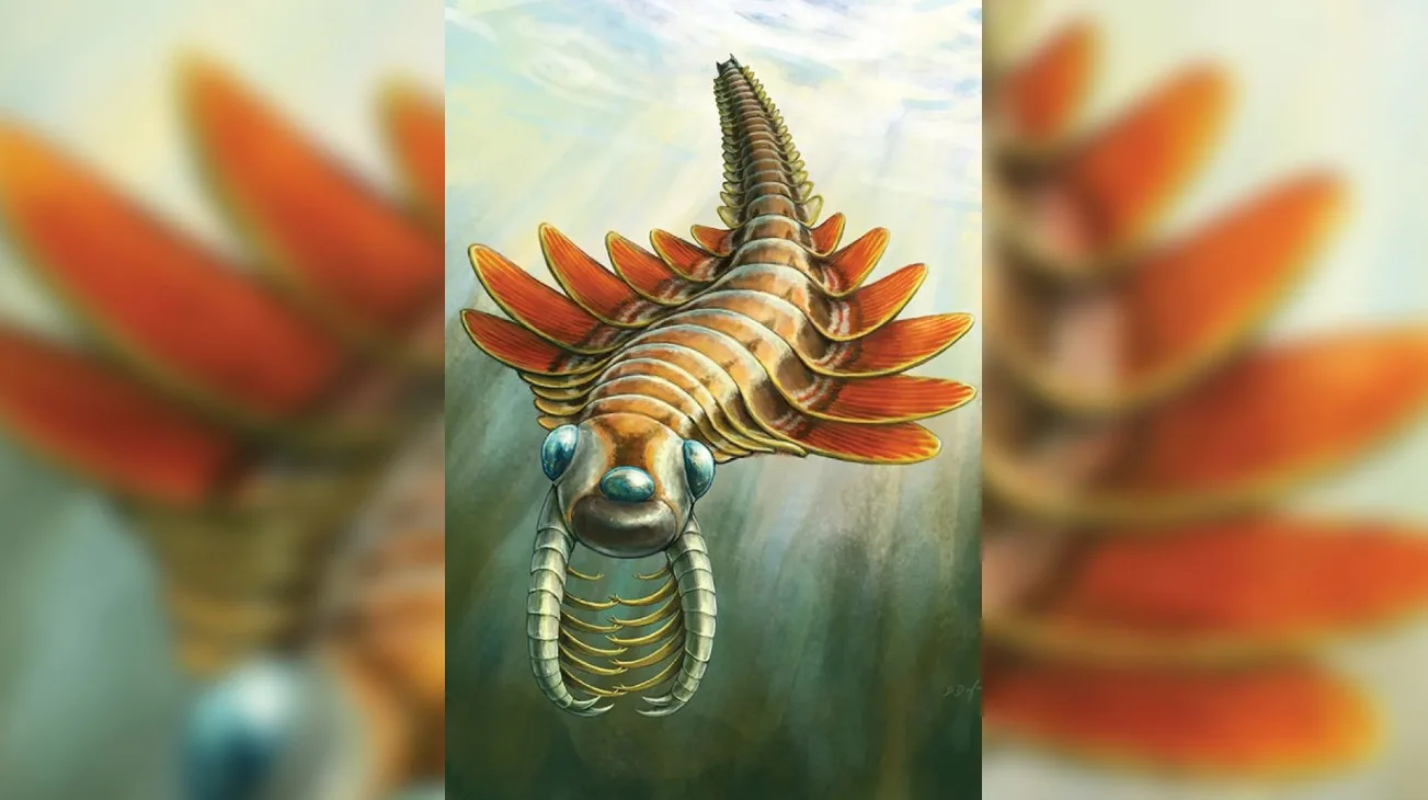 500 Milyon Yıllık Üç Gözlü Yırtıcı Hayvan Fosili Keşfedildi