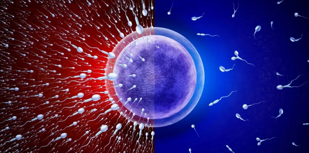 Erkek Doğum Kontrol Yöntemi: Sperm Engelleyici Jel 2028’de Piyasada Olabilir
